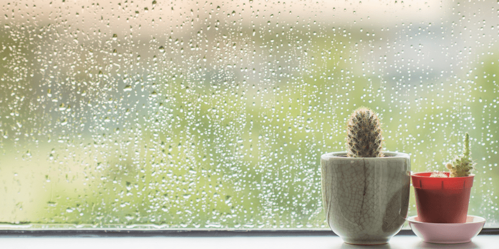 Prepare for Rainy Weather