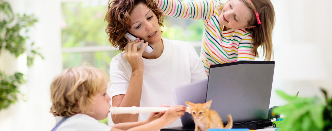 Home and office renovations Home and office renovations