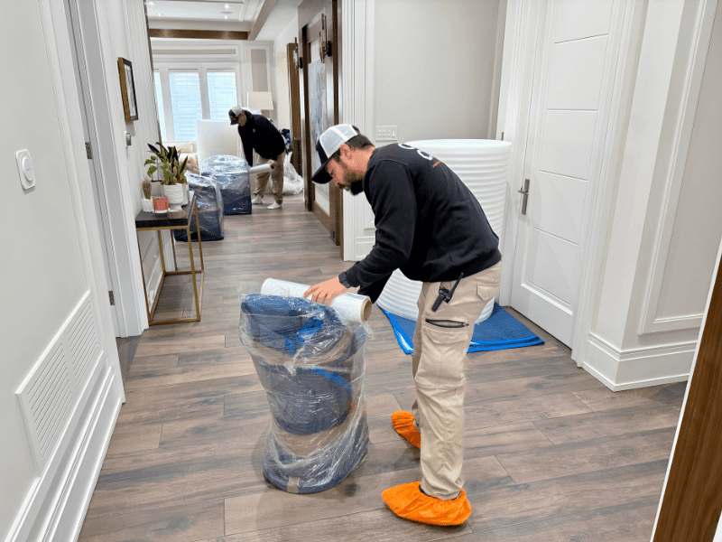 Rosedale Movers Rosedale Movers