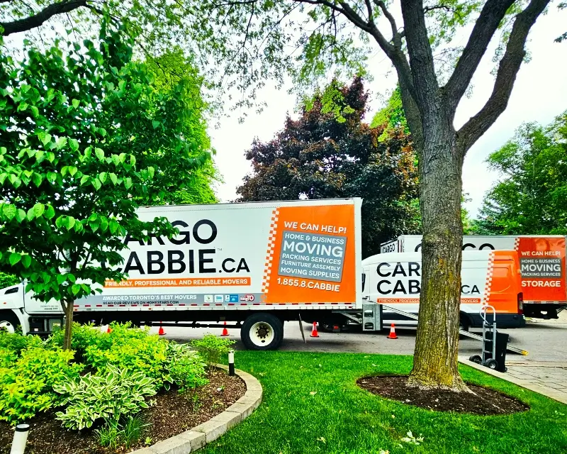 Best residential home movers in Toronto – CARGO CABBIE